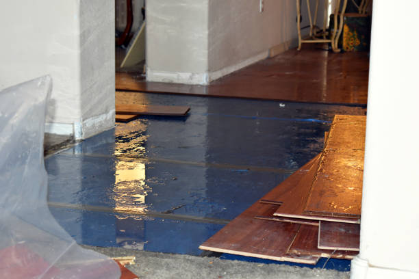 Professional Basement Flood Cleanup technician working in Alton, TX
